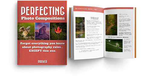 Perfecting Photo Compositions E-book